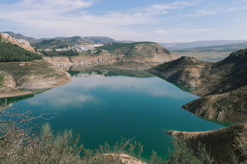 El Impacto del Siluro en el Pantano de Iznájar: Un Análisis de la Disminución de la Pesca